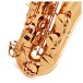 Leblanc LTS211 Tenor Saxophone, Lacquer