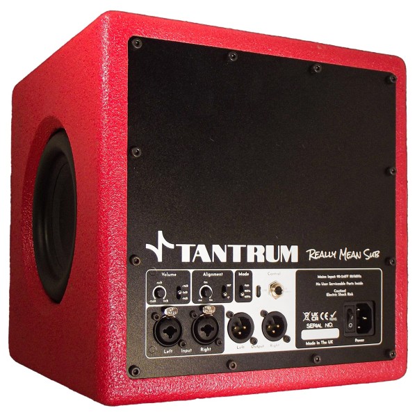 Tantrum Really Mean Subwoofer - Angled Rear