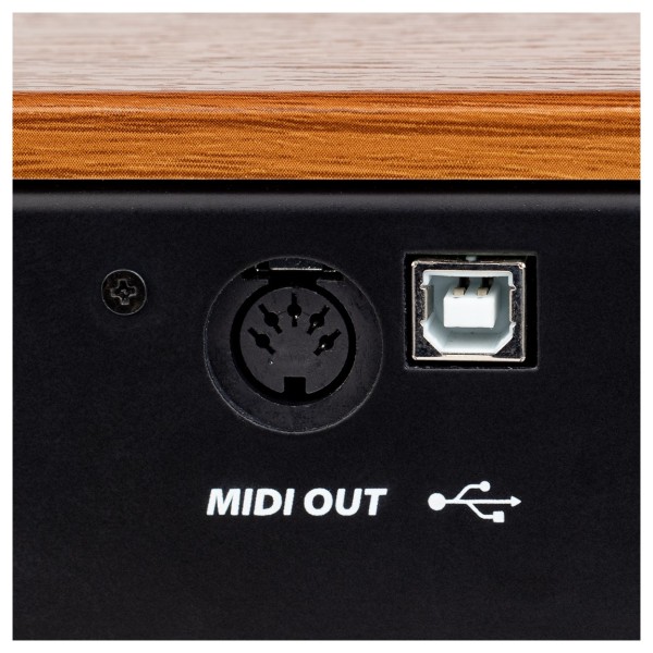 Crumar DK61 61-Key Waterfall MIDI Controller for Organ Players - USB-MIDI Connection