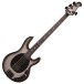 Music Man DarkRay, Silverburst