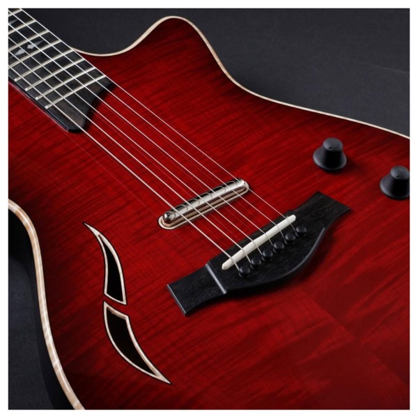Taylor T5z Pro, Armrest, Cayenne Red