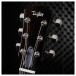 Taylor T5z Pro, Armrest, Cayenne Red