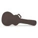 Taylor K24ce Electro Acoustic, V-Class Bracing closed case