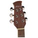 Applause AE44II Mid Cutaway, Vintage Varnish Stain - headstock