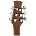Applause AE44II Mid Cutaway, Vintage Varnish Stain - back of headstock