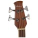 Applause AEB4 Mid Cutaway Acoustic Bass, Honeyburst Satin - headstock
