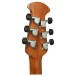 Ovation Pro Series Ultra 1516, Yukon Spray - back of headstock
