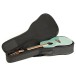 Ovation Pro Series Ultra 1516, Yukon Spray - in case