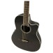 Ovation CS24 Celebrity Standard Nylon, Black Gloss - right