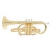 Forte Cn1 Cornet Outfit