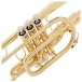Forte Cn1 Cornet Outfit