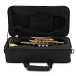 Forte Cn1 Cornet Outfit - Case