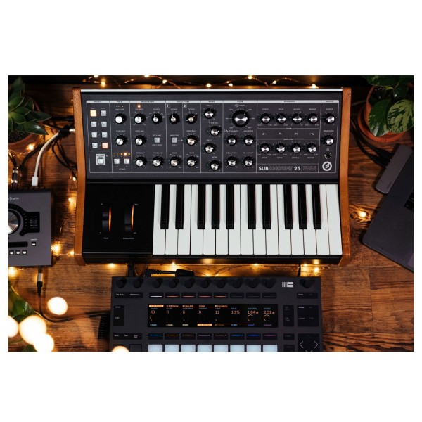 Moog Subsequent 25 Analog