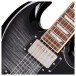 Epiphone SG Tribute Plus, Ebony Burst - neck pickup