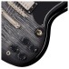 Epiphone SG Tribute Plus, Ebony Burst - controls