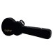 Epiphone Case for Allen Woody Bass