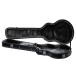 Epiphone Case for Allen Woody Bass - open case