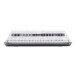 Decksaver Korg Multipoly Cover - Front