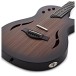 Taylor T5z Classic Rosewood - body