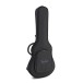 Taylor T5z Classic Rosewood - gig bag