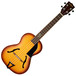 Kala KA-JTE-HBC Custom Tenor Archtop Ukulele, Satin