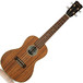 Cordoba 25CK Concert Ukulele