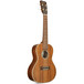 Cordoba 25CK Concert Ukulele