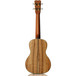 Cordoba 25CK Concert Ukulele