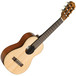 Cordoba GP100 Complete Guitar Pack