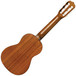 Cordoba GP100 Complete Guitar Pack
