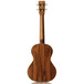 Cordoba 25TK Tenor Ukulele