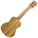 Tanglewood TU13Z Tribal Spirit Concert Zebrano Ukulele