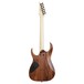 Ibanez RG421 Electric Guitar, Mahogany