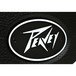 Peavey ValveKing II 100W Amp Head