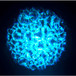 ADJ H2O LED Water Flowing Effect
