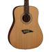 Dean Tradition AK48 Acoustic Guitar, Gloss Natural