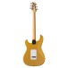 PRS SE Silver Sky, Gold Sparkle - back