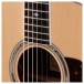 Taylor Legacy 810e Electro Acoustic Guitar - String Detail