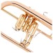 Yamaha YFH8310ZG Custom Model Flugel Horn, Clear Lacquer