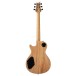 PRS SE Zach Myers 594, Myers Blue (2026) - back