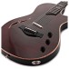 Taylor T5z Pro, Grapevine - body