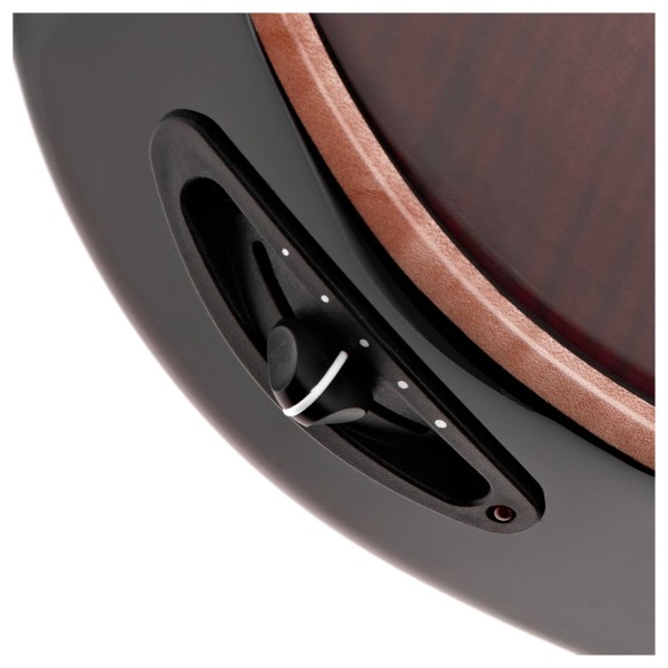 Taylor T5z Pro, Grapevine - pickup selector