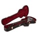 Taylor T5z Pro, Grapevine - in case