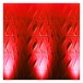 Equinox MaxiPar Tri MKII LED Par Can, Wall Red
