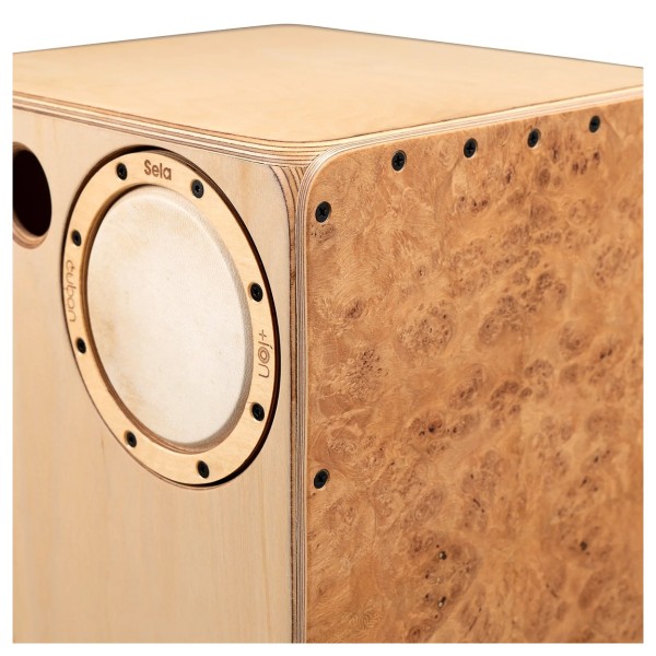 Sela Iconic Cajon, Oak Roots