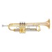 Yamaha YTR-8345RG Xeno Trumpet, Gold Brass Bell, Lacquer