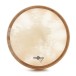 Gear4music Life 16 x 3