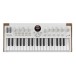 Arturia Astrolab 37 Portable Stage Keyboard - Top