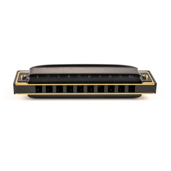Hohner Pro Harp Major Diatonic Harmonica 