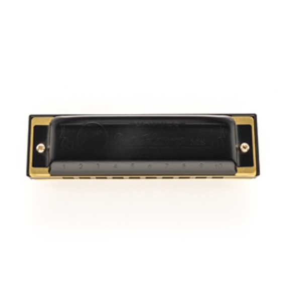 Hohner Pro Harp Major Diatonic Harmonica 